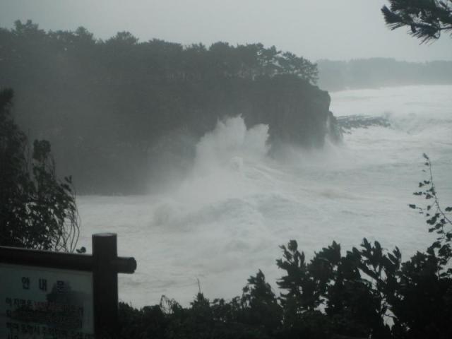 309747_2057505636232_584791_n