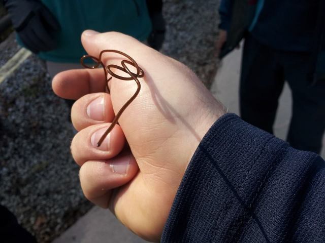 연가시, or gardioidea, I think.