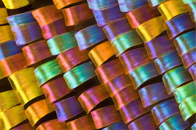 You are looking at the world's pretties solar array.