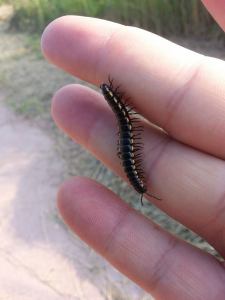 10399992_10203321845905876_8748596790670148114_n