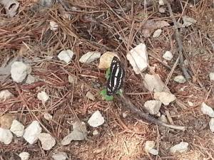 10410159_10203336830440480_8851077320250241219_n