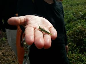 201406_4136201122320_1969704283_o