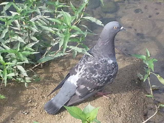 10559759_10203617861986093_2326201886815015785_n