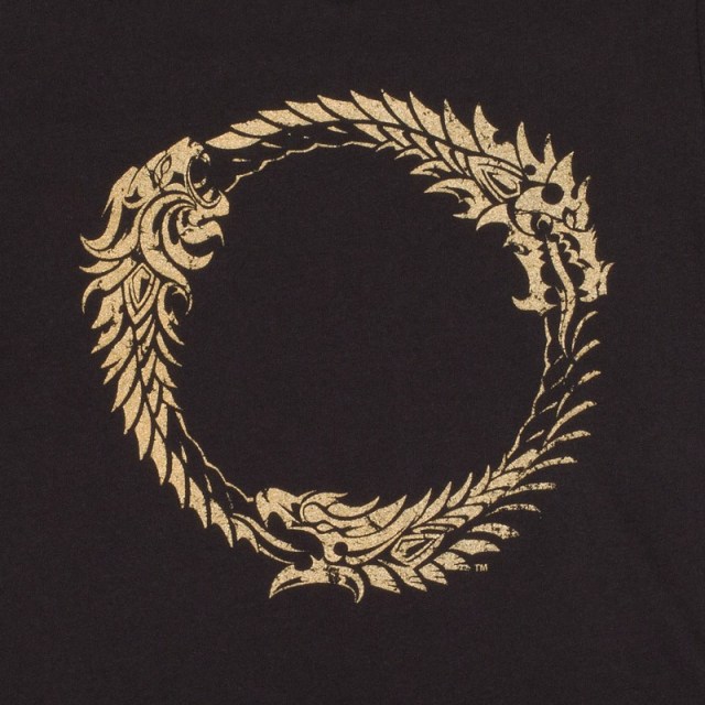 The ourosboros depicts a snake or dragon eating it's own tail. It is a symbol for eternal recurrence.