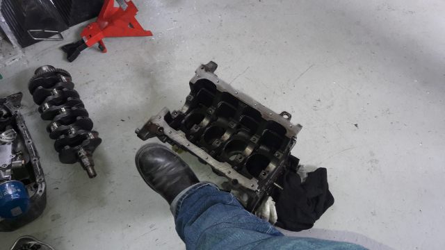 17880160_10210878728183210_7792527450890361682_o